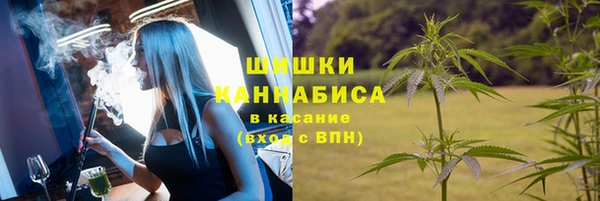 дживик Беломорск