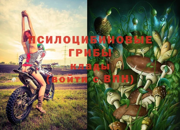 дживик Беломорск