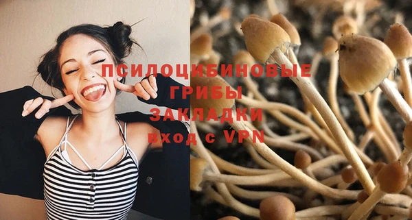 мескалин Белокуриха