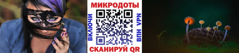 Псилоцибиновые грибы прущие грибы Верхняя Пышма