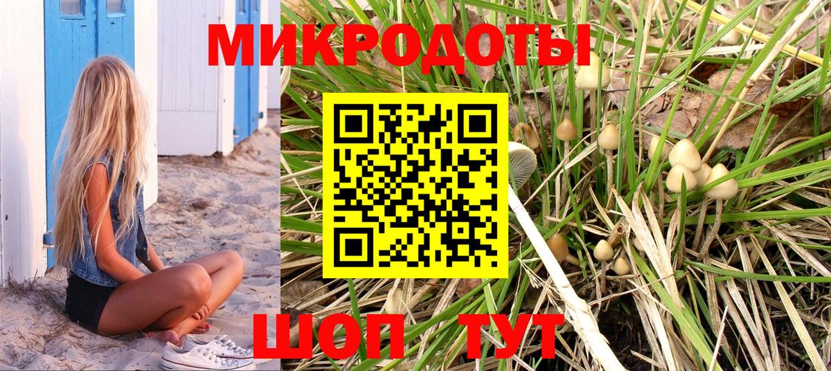Верхняя Пышма  Галлюциногенные грибы Psilocybine cubensis  Вход с VPN 